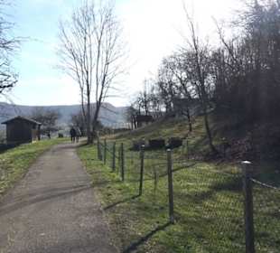 Wanderung Florianrunde