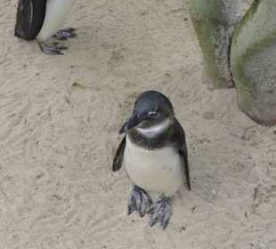 Allwetterzoo Münster
