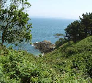Cliff Path