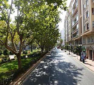 Viel Grün in der Stadt