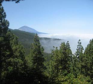 Pico de Teide