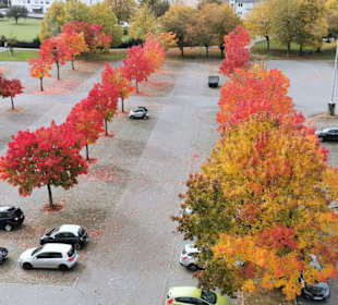Ausblick vom Culinarium