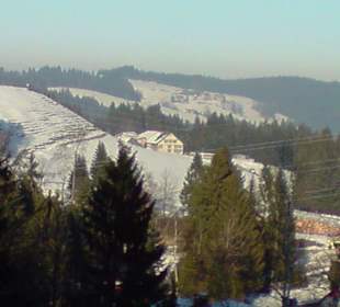 Die Aussicht vom Pfänder