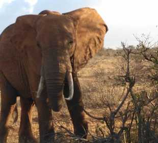 Ich habe sehr schlechte Laune