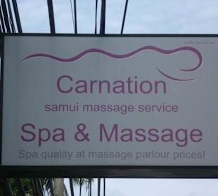 Carnation
