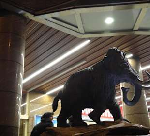 Mammut Shoppingcenter