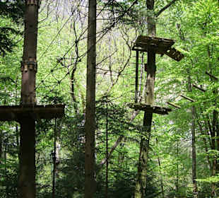 Toller Seilpark in Aigle