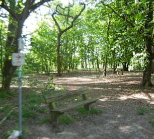 Naturschutzgebiet Boberger Niederung