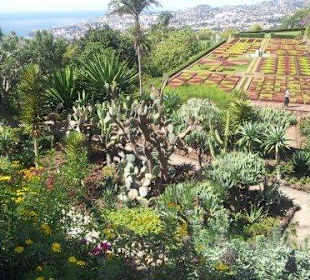 Botanischer Garten