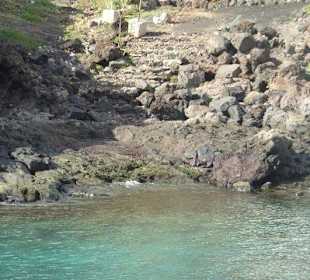 Fahrt mit dem Wassertaxi