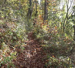 Wandertour "Rund um den Rossberg" Öschingen