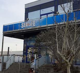 Sea-Life Aquarium in Speyer