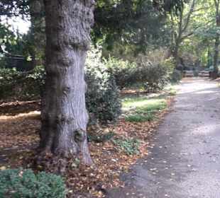 Englischer Garten
