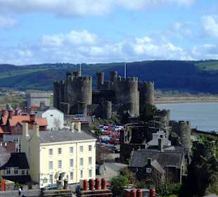 Conwy Castle