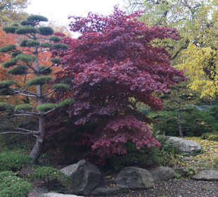 Parkanlage Planten un Blomen