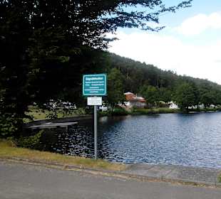 Sägmühlweiher bei Trippstadt, KL, im Pfälzer Wald 