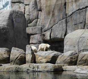 Tierpark Hagenbeck