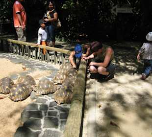 La Vanille Crocodile Farm