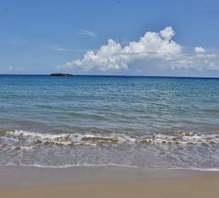 Tropical Beach Safari - Puerto Plata - DomRep Lifestyle - Ex