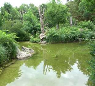 Tierpark Hellabrunn - Reich der Elefanten