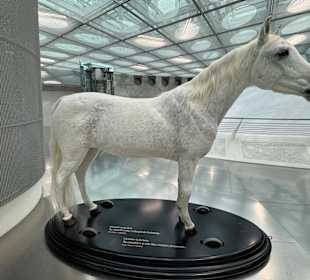 Mercedes-Benz Museum