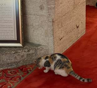 Süleymaniye Moschee