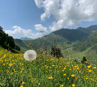 Penkenbahn 