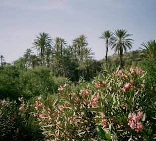 Paradise Valley