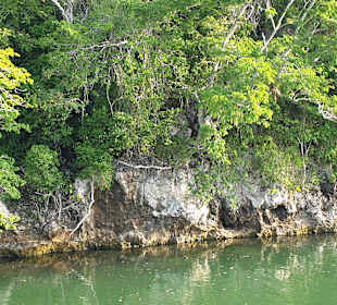 Tour & Ausflug Bayahibe