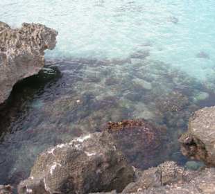 Cala