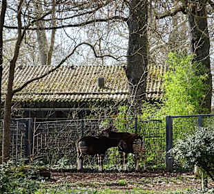 Wilhelma Stuttgart