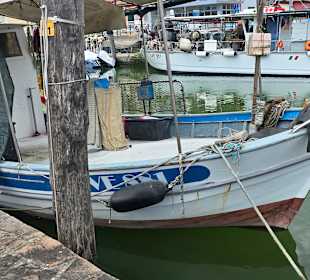 Fischerboote 