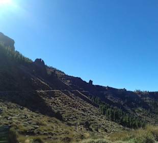 Teide Nationalpark in Las Canadas del Teide