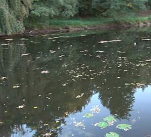 Geistliches Zentrum Kloster Heiligkreuztal Altheim