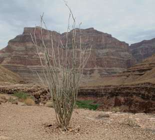 Grand Caynon