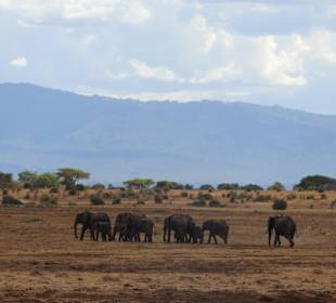 Tsavo-East-Nationalpark