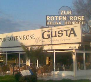 Rote Rose