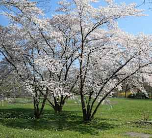 Wandern in Baden-Baden und Umgebung
