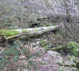 Wandertour Eppenzill
