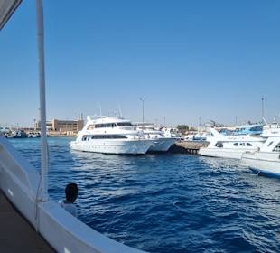 Delfin Tour Hurghada