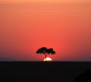 Toller Sonnenaufgang