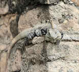 Ruine Chichén Itzá