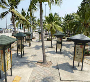 Einige der Fitnessgeräte im Park