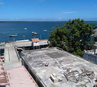 Auf dem Dach des Lamu Museums