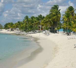 Strand von Insel Catalina