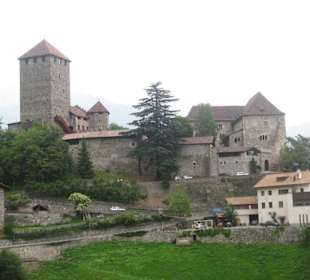 Das Schloss mit Vogelzentrum