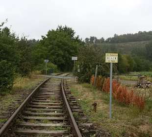Draisinen Tour in Altenglan