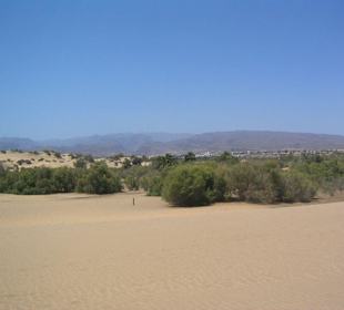 Dünen von Maspalomas