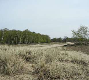 Boberger Niederung