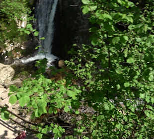 Wasserfälle Allerheiligen